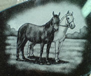 Horses